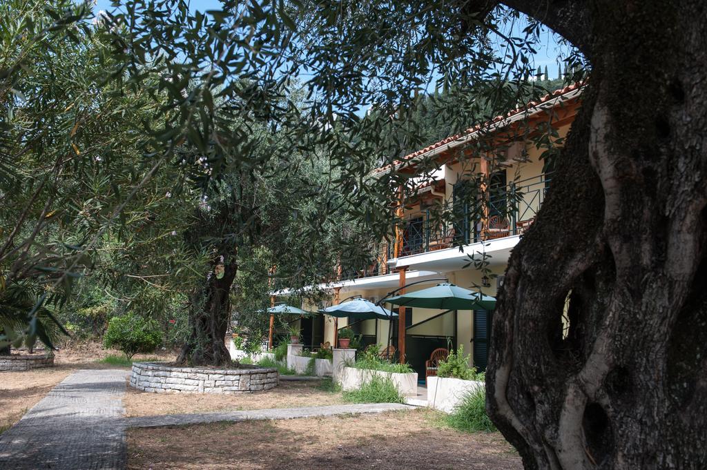 Villa Rita & Helena Калами Стая снимка